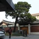 향나무로 이미지