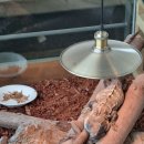 준이농장2 이미지