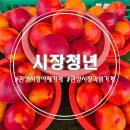 시장청년관양