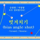 33. 당구 3쿠션 - 빗겨치기 / Bias Angle Shot 조회수 2.1만회 4년 전 이미지