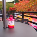 HUE910 펜션