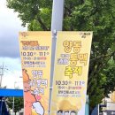 양동닭전길시장 이미지