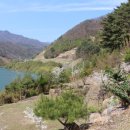 지리산토지펜션 네이버블로그