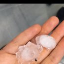 우박이네 이미지