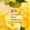 빌립보서 강해 시리즈 23 “주님께 붙잡힌 사람이 되라.” 이미지