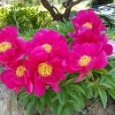 금학산민박 이미지