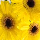 고신대학교 보건대학원 이미지