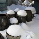 하얀나라 이미지