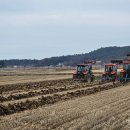 시연하다 이미지