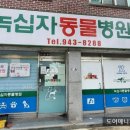 녹십자 동물병원 이미지