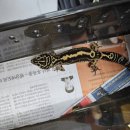 게코모아