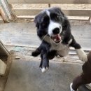 BK승마랜드 이미지