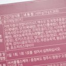 리즈백스킨