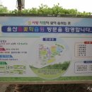 서사분교 이미지