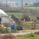 대복농장 이미지