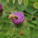 운호마을 이미지