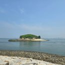 배곧한울공원 이미지
