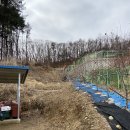 낙선군묘 이미지