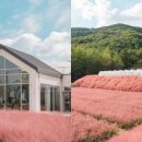에스콰이아익산
