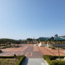 경포자전거여행 티스토리