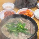 해독물가마