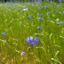 시립영통자이어린이집 이미지