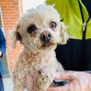 남일면사무소 이미지