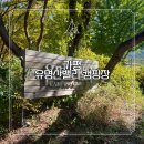 유명산밸리캠핑장 이미지