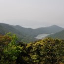 완도수목원 이미지