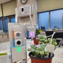 뉴런 과학교실 | [렌쥴리에듀테인먼트 서울 교육청 신나는 AI교실 SW 코딩 뉴런 스마트 팜 체험수업 서울 풍성중학교]