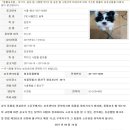 원효동물병원 이미지