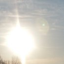 해뜨는아침농장 이미지