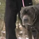 디바농장 이미지