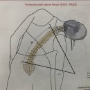 턴피트니스 이미지