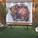 피노펠리즈 이미지