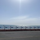 리얼스틸펜션2 이미지