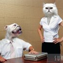 아주상사 이미지