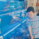 남포물회 이미지