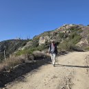 1/31/2026 Mt. Lukens via Deukmejian Wilderness Park 이미지