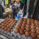 종로농수산 파이낸셜뉴스