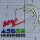 레알스크린골프 이미지