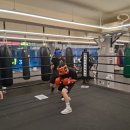 영바디복싱 이미지