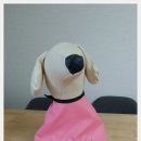 도그리썸 이미지