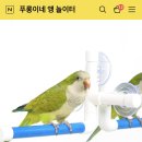 푸롱이네놀이터 이미지