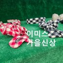 박주현헤어라인 | 여자연옌인 사랑 이미스 에코백 가을 신상 잠실 롯데월드점 구경 추천 후기