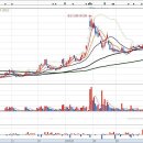 신성옵틱 이미지