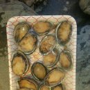 자개골캠핑장 | 구절리 캠핑후기