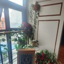 익산 부송동 신상카페 | 전주 프레즐 맛집이 익산에도 &#34;버크하우스&#34; 내돈내산 후기