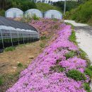 용광농장 이미지