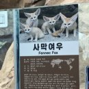 와우쥬 이미지